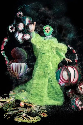 Five Must-Listen Artists for Björk Fans