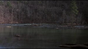 Fled (1996) Stephen Baldwin...Laurence Fishburne