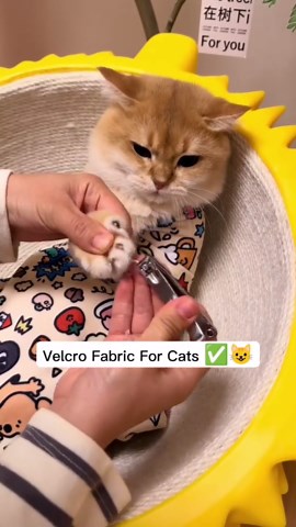 Cat Grooming Wrap Anti-Scratch Adjustable Grooming Bag for Cats | Perfect for Nail Clipping, Ear Cleaning, and Teeth Brushing