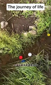 10M views · 95K reactions | The journey of life. In the race of life each of us has a unique journey and timeframe. Do not compete with anyone but focus on your unique journey. | Malate Peter | Facebook