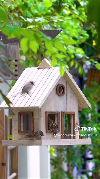 Make most impressive wooden bird house and bird feeder - DIY Woodworking Projects #craft #diy #woodworking #woodcraft #bird #birds #birdfeeder #birdhouse