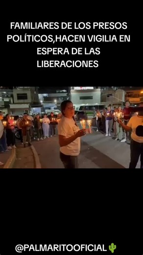 Videos de PALMARITOOFICIAL 🌵 (@palmaritoficial) con “suono originale - 🎶𝕀𝕃 𝕄𝕌𝕊𝕀ℂℍ𝕀𝔼ℝ𝔼🎤”