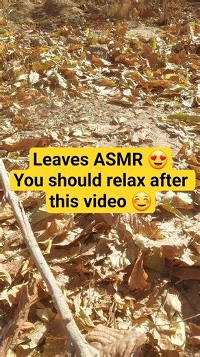 Leaves ASMR 😍You should relax after this video ☺️ #relaxing #sleep