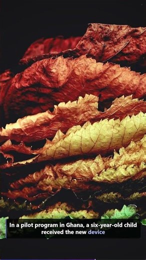 Bionic Ear Breakthrough: Affordable Cochlear Implants