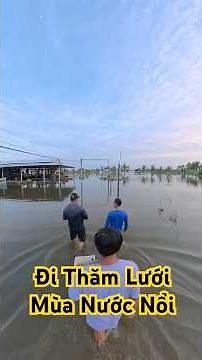 Visiting the Net with Brothers #queochannel #food #huongviquehuong #food #cooking #western region...