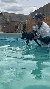 15 week old Labrador puppy Maisy showing us how it’s done 🐾💕💦🇬🇧 | Canine Dip and Dive Maldon