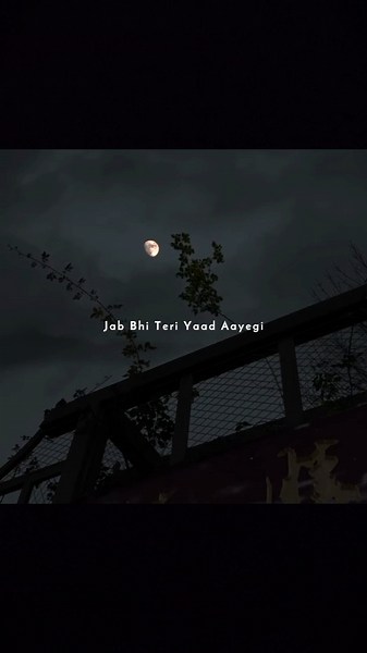 Jab Bhi Teri Yaad Aayegi 🥺❤️‍🩹Teri Galiyon Se Gujara Karunga Main 🦋 Aesthetic Lyrics Status 🕊️✨