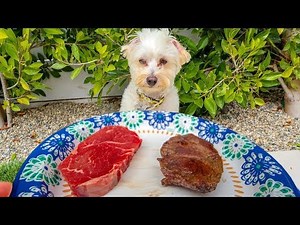 DO PUPPIES PREFER RAW MEAT OR COOKED MEAT??
