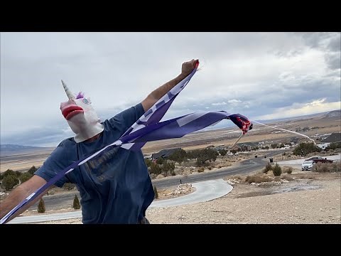 Angry Unicorn Tears Up Biden Flag And Replace It With TRUMP!