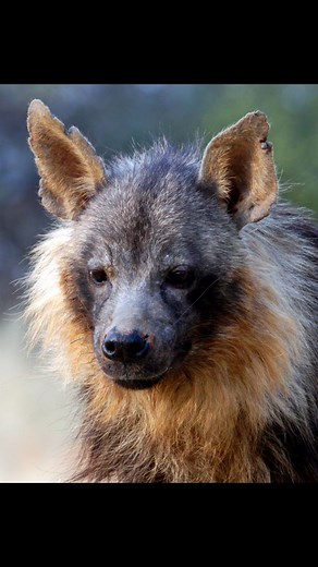 ENCOUNTER Isolation, beauty, anticipation. | Jens Schneider