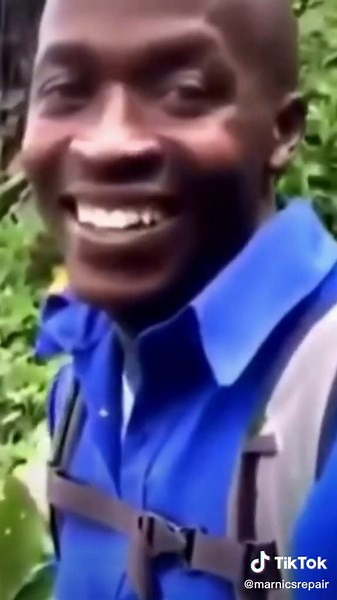 Water Damage Phone Repair Process