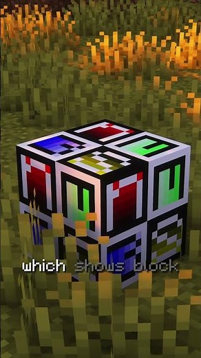Minecraft's Secret Blocks - Debug1 & Debug2