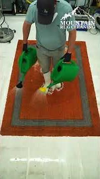 I Used A Patio Cleaner On This FILTHY Rug And You Won't Believe The Results! #shorts