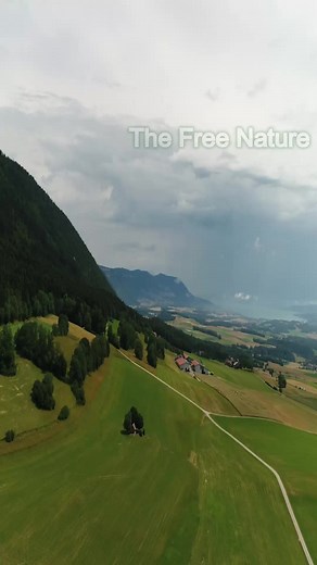 The Free Nature on TikTok