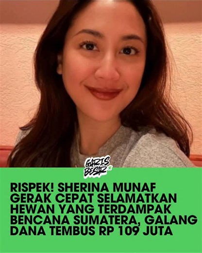 Garis Besar Media | Penyanyi sekaligus aktivis lingkungan Sherina Munaf menginisiasi penggalangan dana bersama komunitas Stay Purr Club dan JAAN Domestic untuk... | Instagram
