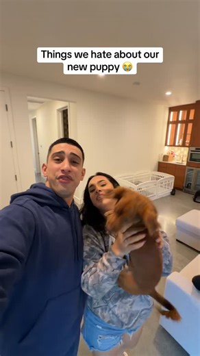 Andrea Lopez on Instagram: "Are these valid?😅 #viral #fyp #couple #puppy"