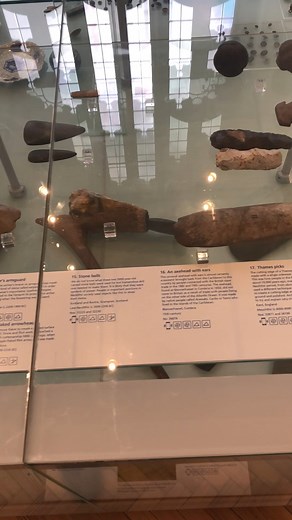  The Manchester Museum  #ManchesterUK #reelsvideo #HiddenGemsUK #reelsviral #ExploreWithMe | Exploring Worldwide | Facebook