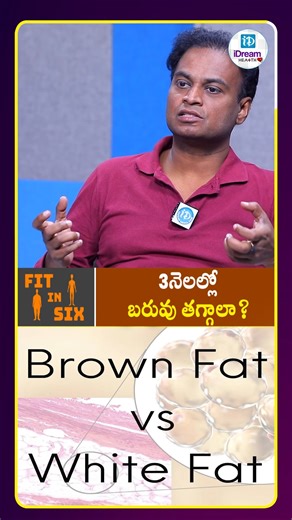 iDream Health | వైట్ ఫ్యాట్ vs బ్రౌన్ ఫ్యాట్ ఏది ఎక్కువ ప్రమాదకరం.#healthylifestyle #healthtips #iDreamHealth | Instagram