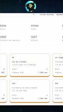 TESTING BITCOIN BLOCKCHAIN