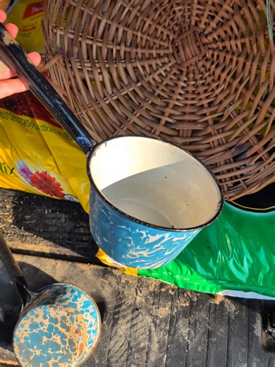 Antique Enamel Ladles: Perfect for Soil Mixing