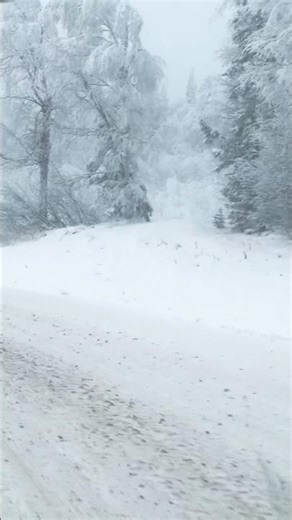 Dalton Highway in Winter #shorts #alaska #snow