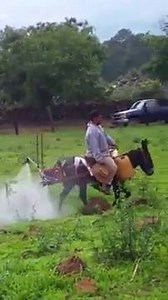 6.2M views · 17K reactions | We're hearing that John Deere is shaking in their boots about the recent success of rivals John Donkey... | iseekplant.com.au | Facebook