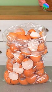 The Eggshell & Coffee Mix | Genius Inventions