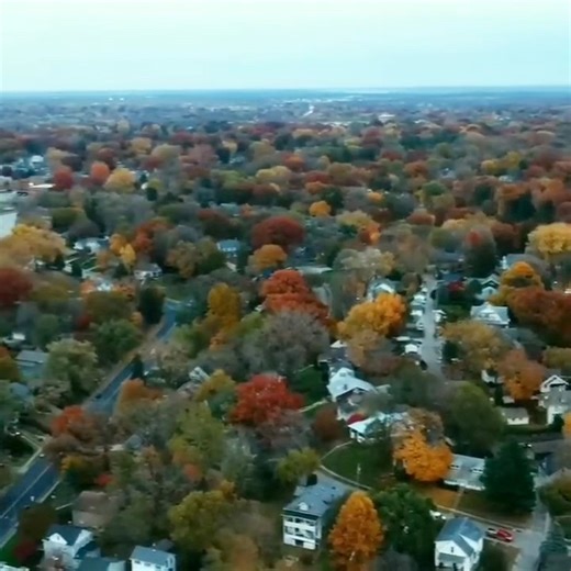 The Quad Cities showing off again…fall never misses around here. #QuadCities #FallVibes #QCViews #AutumnInTheQC #DroneFootage | What's Going on Quad Cities