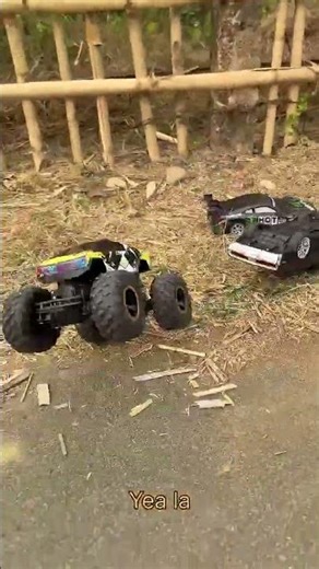 RC Model #Car Model #Remote Control Model: This is How You Play with Car Models