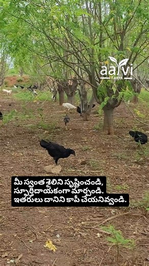 1.6K views · 679 reactions | Create something that others copy. | Aarvi Farm | Facebook