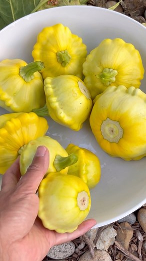 40K views · 10K reactions | Learn To Grow on Reels | Facebook