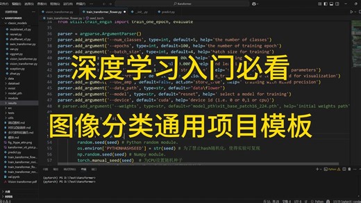 深度学习入门必看，图像分类通用项目模板