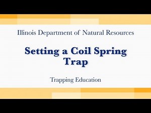 Setting a Coil Spring Trap