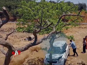 29M views · 1.6M reactions | Heart Touching  Mother Love 梁 | Sad | Facebook