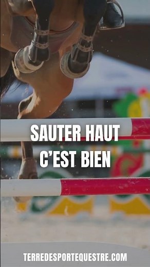 Saut d'obstacles #horse #cheval #jumping