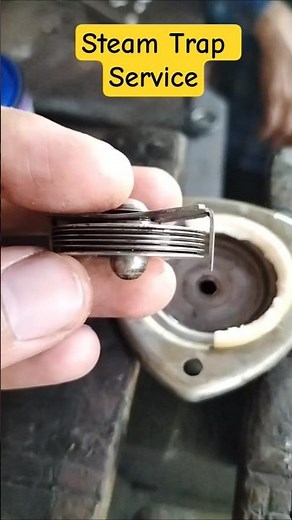 Thermodynamic Steam Trap Maintenance | Working, Troubleshooting & Repair Guide
