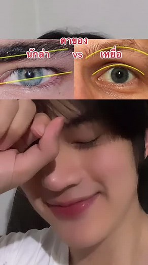 แล้วตาของคุณล่ะเป็นประเภทไหน?