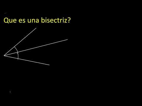 What is a bisector? Explanation and quick example
