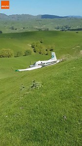 Check out this runway via Homegrown Farm Fresh | storyful