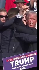 How the Assassination Attempt on Trump Unfolded