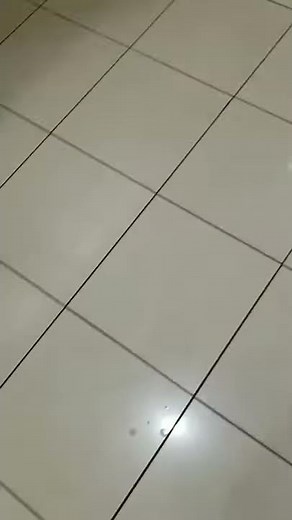 ◯オン 🚺♀️ トイレ 2021年2月12日