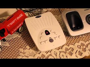 Ezvoice review opening