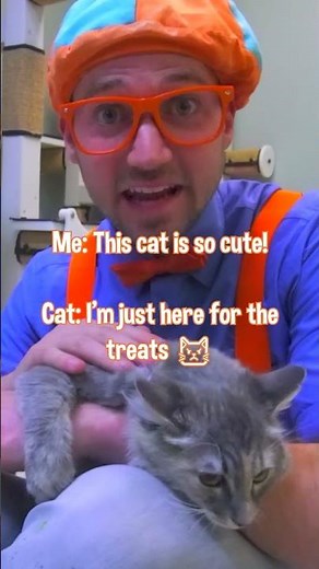 Blippi Finds a Cute Kitty at the Animal Shelter!