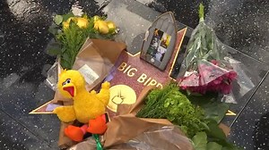 1.4K views · 46 reactions | The man who voiced Big Bird for over 50 years, Caroll Spinney, is remembered with a memorial on the character's Hollywood Walk of Fame star. He died at age 85 on Sunday. | WAND News | Facebook