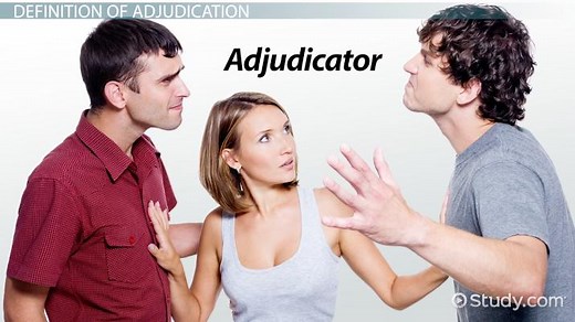 Adjudication | Definition, Types & Examples