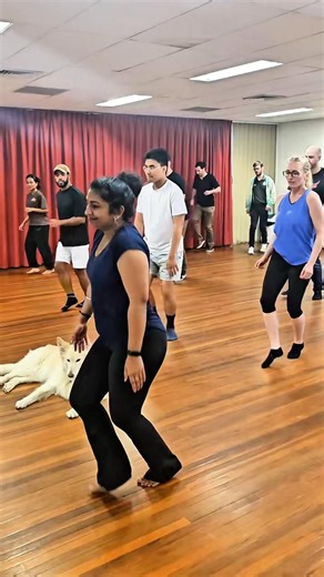 🔥Salsa body movement class for beginners with bosslady Avanka on Wednesday and her supervisory 🐶 🤩 Beginners start with our Introduction to Latin Dancing: www.danceculture.com.au/introduction 🗓️ Full timetable, pricing and how to join classes with prior experience: www.danceculture.com.au/timetable 📍 Address: 474 Ipswich Road, Annerley, Brisbane, Australia #thingstodoinbrisbane #fun #brisbane #danceclass #danceculture | Dance Culture