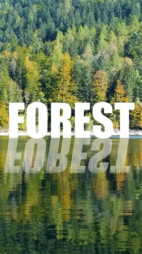 Water Reflection Text Effect Without Fusion | DaVinci Resolve