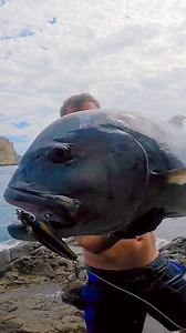 60K views · 758 reactions | Nothing hits like these… #topwater #fishing #ulua | Cavy Fishing | Facebook