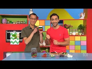 Eddie Woo on Play School (2 of 4: Algorithms)