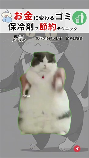 それ、冷凍庫の宝物！保冷剤 最強再利用術15選